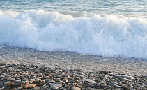 Пляжи и море в Сочи проверили лабораторно