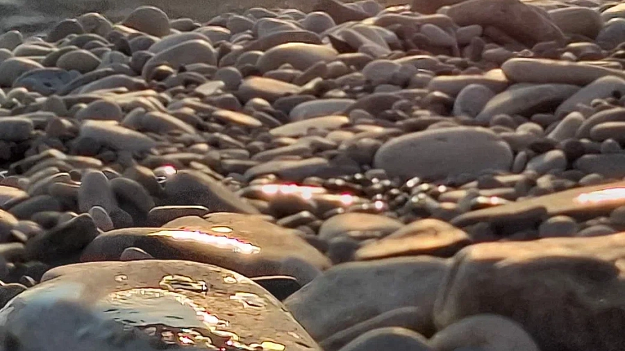 Экологи подтвердили чистоту пляжей Новороссийска после разлива нефти