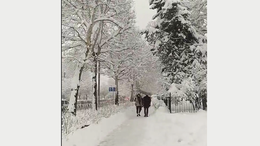 В Краснодаре студентов КубГУ перевели на «удаленку» из-за снегопада