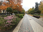 Сирены завоют в Краснодаре 18 и 25 ноября