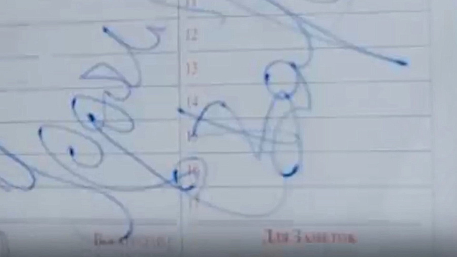 Житель Краснодара купил на «Авито» раритетные автографы Сергея Бодрова и Алексея Балабанова за 15 тыс. рублей, но получил книгу «Человек-волк»