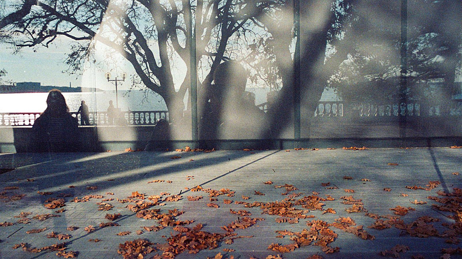 В Краснодаре 24 января откроется выставка «Хрупкие сезоны»