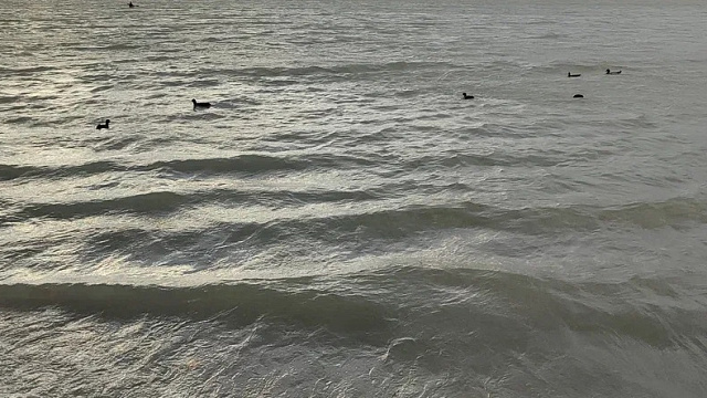 В Абинском районе река поднялась на 2,8 метра