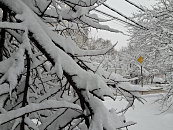 Новая волна снегопадов накроет Кубань с 15 января