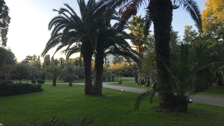 В Сочи, а также на курортах 30 октября установится малооблачная погода с редкими дождями и мягкой температурой до +17°С