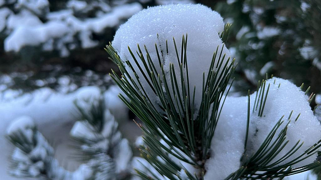 Внимание, опасная погода: в Краснодаре и крае в субботу ожидается гололед, метель и ветер до 35 м/с