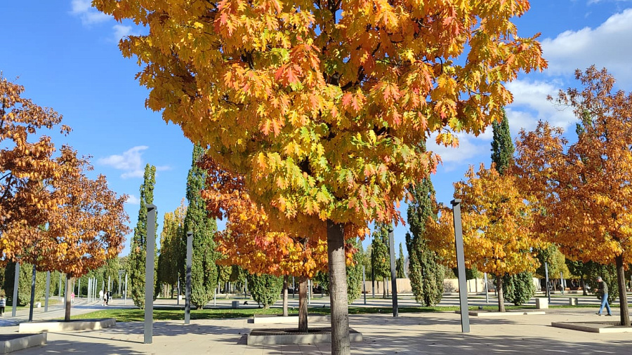 Синоптик рассказал, какая погода ждет жителей Кубани на грядущих выходных