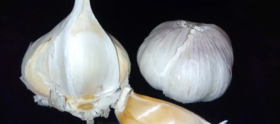 Продукт за копейки чистит сосуды от холестерина и спасает от инфаркта