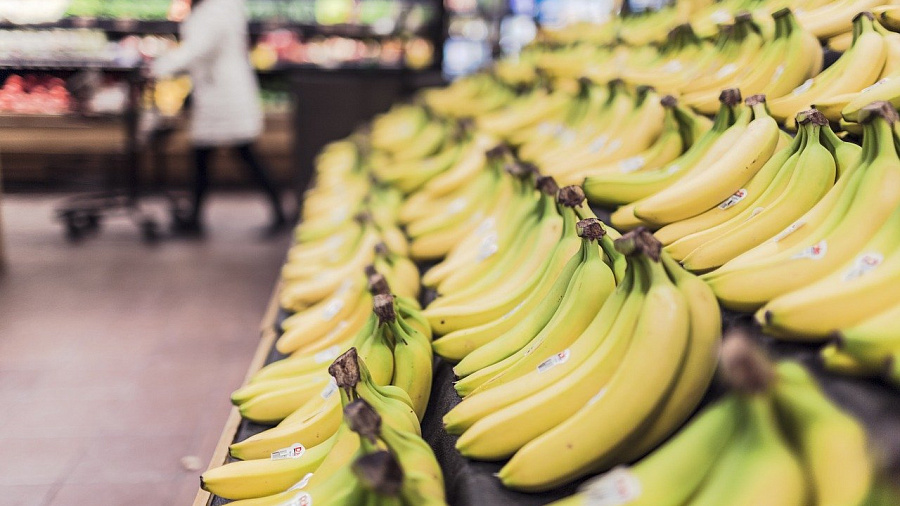 Бананы оказались под угрозой полного исчезновения