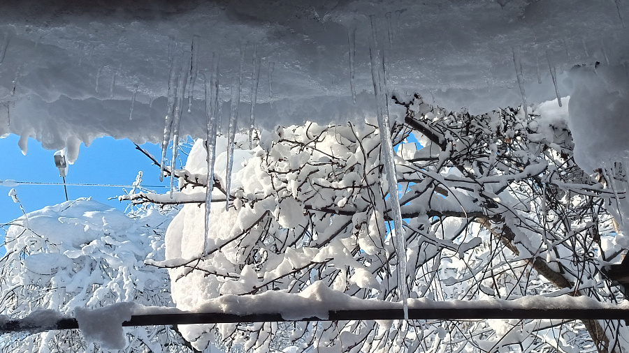 По Краснодару ударили сильнейшие за эту зиму морозы 