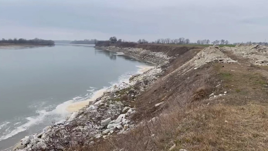 В Сети появились страшные кадры загрязнения реки Кубань в Краснодаре