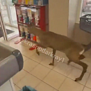 Ремонт мостов изменит движение на трассе М-4 «Дон» под Горячим Ключом