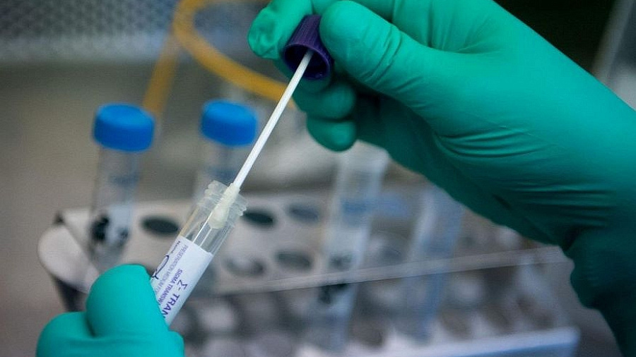 На Кубани коронавирусом за сутки заболели 220 человек
