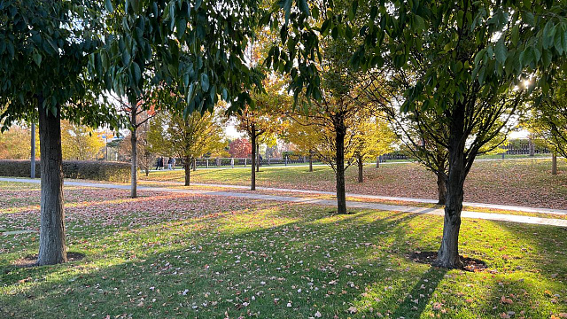 В Краснодаре и крае в субботу ожидается улучшение погоды: прояснения и температура до +18°С