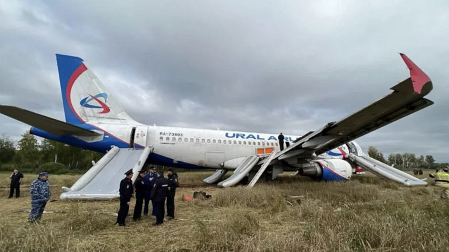Пилотам, посадившим самолет Сочи — Омск в поле под Новосибирском, предложили уволиться
