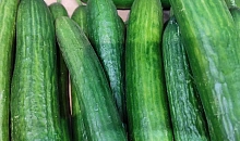 18 тонн опасных огурцов из Ирана нашли на складе в Краснодаре