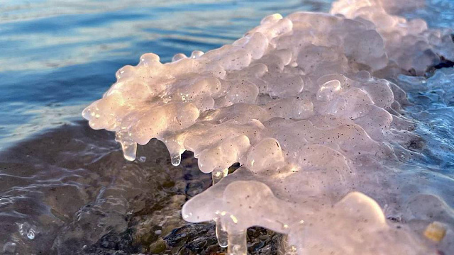 В Азовском море вода у побережья Краснодарского края остыла до нуля градусов