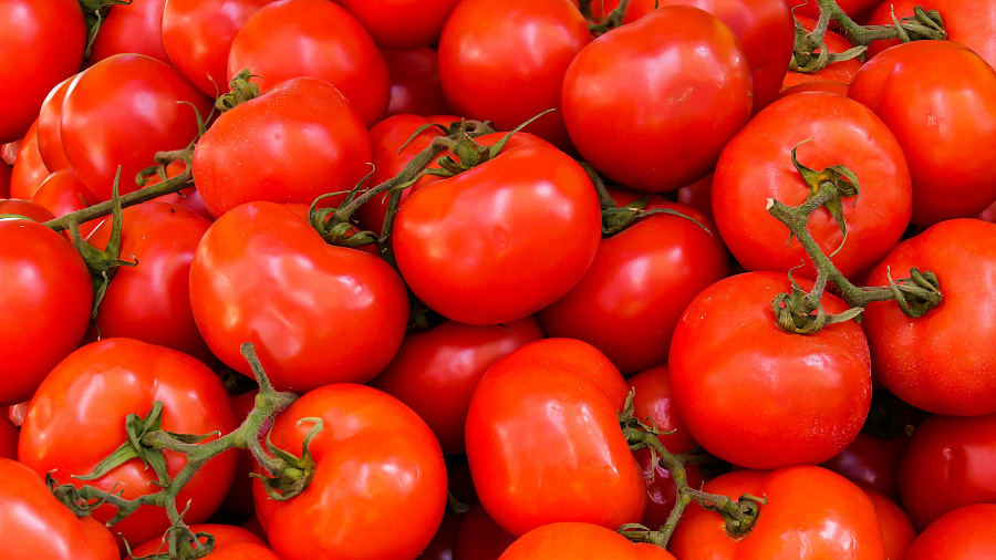 В Краснодарский край через порт Туапсе пытались ввезти турецкие томаты с вирусом мозаики пепино