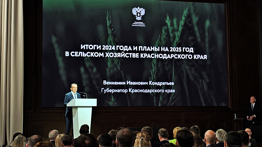Губернатор Краснодарского края предложил защитить виноградопригодные земли на федеральном уровне