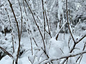 Сильные морозы до –15°С и туман: в Краснодаре и крае в середине недели прогнозируют неблагоприятную погоду