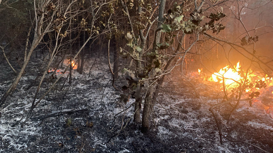 В районе Голубой бухты произошел крупный лесной пожар