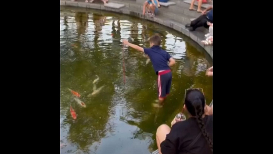 В Краснодаре ребенок, ловивший рыбу в парке Галицкого, возмутил пользователей Сети. Видео