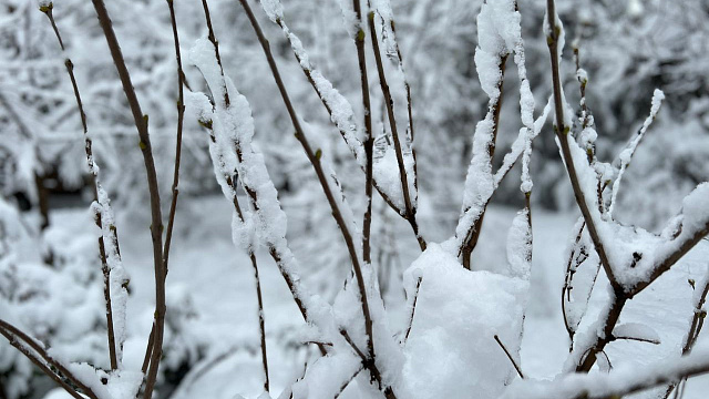 Сильные морозы до –15°С и туман: в Краснодаре и крае в середине недели прогнозируют неблагоприятную погоду