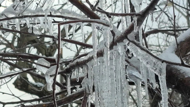Мороз до -13 градусов ударит в Краснодаре