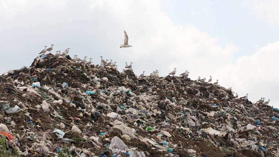 Администрация Красноармейского района подала иск в суд для ликвидации мусорного полигона после забастовки местных жителей
