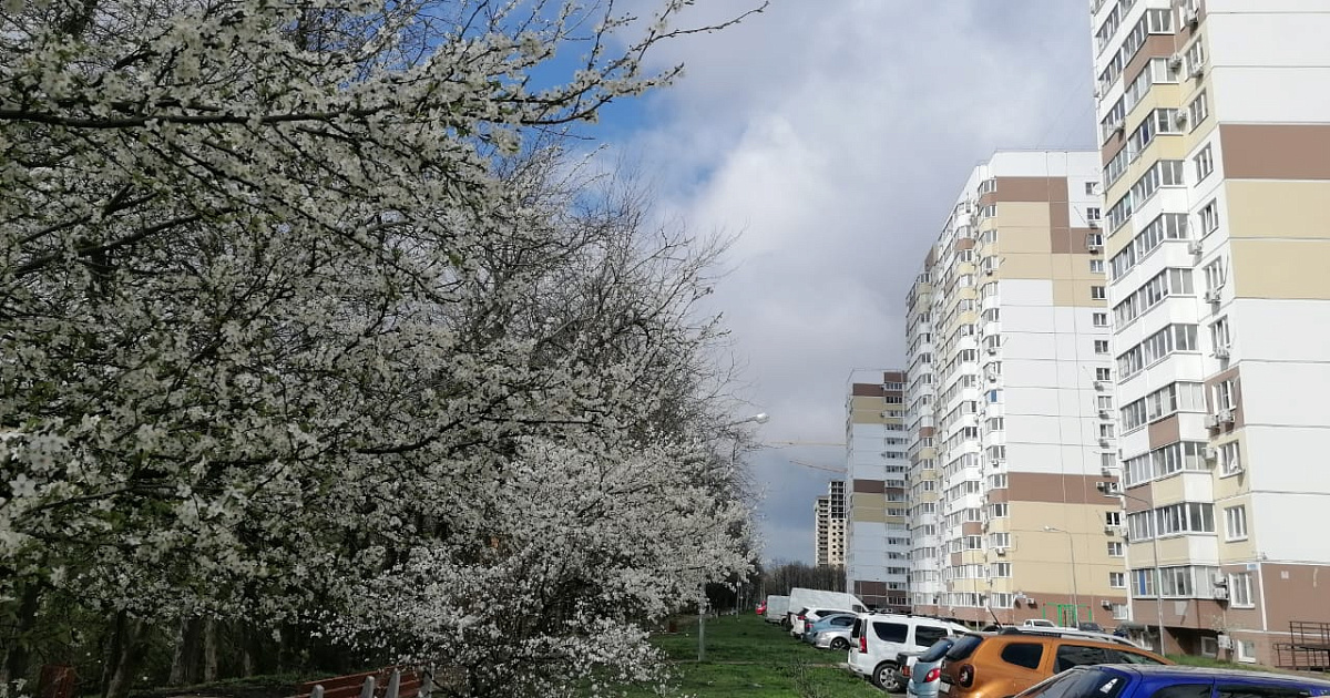 Какая погода в апреле в краснодаре