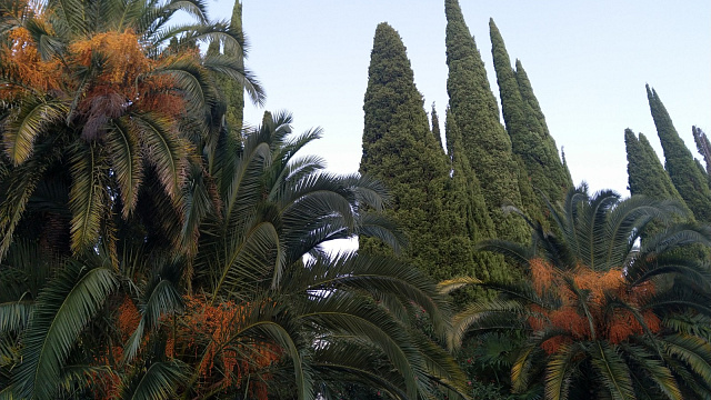 В Пицунде и на курортах Абхазии в конце недели ожидается потепление