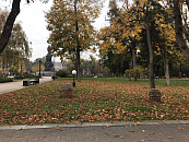 В Краснодаре и крае в воскресенье сохранится неустойчивая погода: прохладно, туманы и порывы ветра до 12 м/с