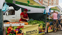Один день из жизни ярмарки