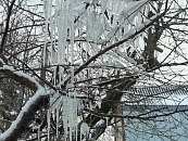 Краснодар замёрзнет до -7 градусов в ночь на 26 декабря