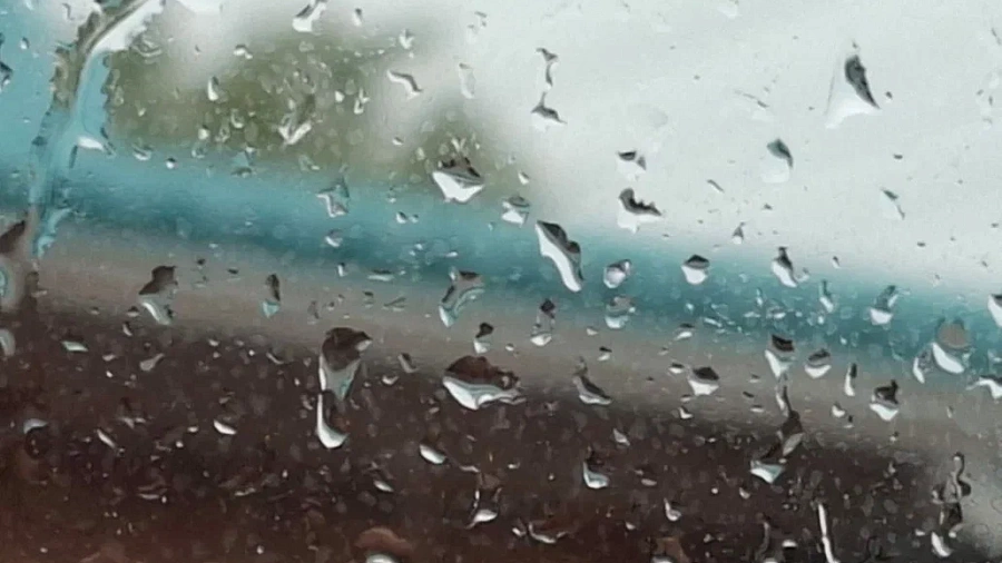 На Кубани объявлено штормовое предупреждение из-за дождей и порывов ветра до 20 м/с