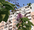 Обвинение экс-мэру Сочи Копайгородскому и его супруге утверждено Генпрокуратурой