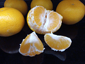 В новогодние выходные на Кубань поступило почти 40 тысяч тонн цитрусовых 