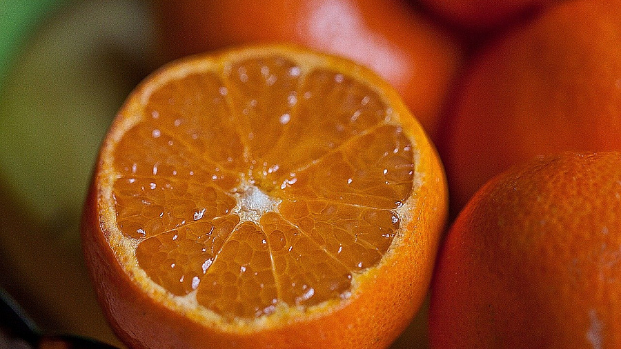В порту Краснодарского края запретили ввоз крупной партии зараженных апельсинов из Турции 