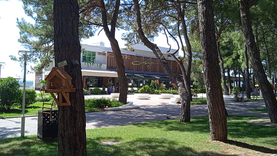 погода в геленджике 8 марта