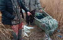 В Краснодарском крае на отца и сына завели уголовное дело за ловлю рыбы сетями