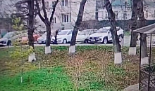 Житель Кубани повредил серпом 5 автомобилей