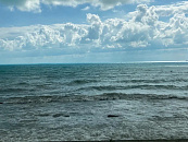 Беспилотные поезда начнут курсировать между Сочи и Красной Поляной