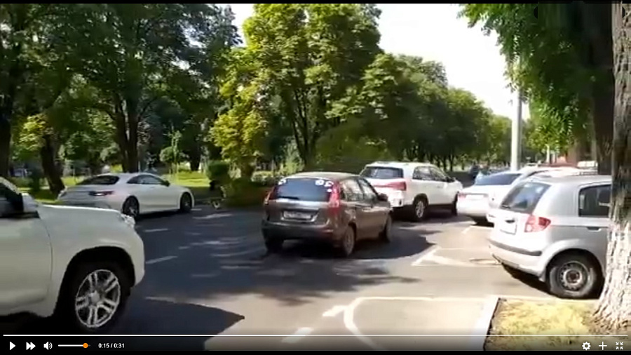 В центре Краснодара дерево рухнуло на проезжую часть, повредив «Mercedes» (ВИДЕО)