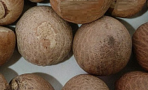 Российские подростки массово покупают опасный наркотический бетельный орех