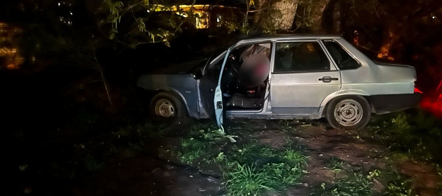 На Кубани ВАЗ влетел в дерево на скорости, погибла 18-летняя пассажирка