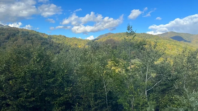 Нацпарк Сочи заберет 3 тысячи новых земельных участков для создания научного полигона