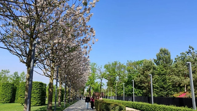 Краснодар ждет туристический бум весной 2026