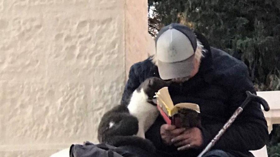  Фотографии читающего мужчины вместе с котом в Сочи умилили пользователей Сети 