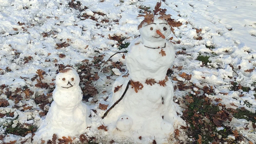 Зима 2025‑2026 принесет неожиданные аномалии России и Краснодарскому краю