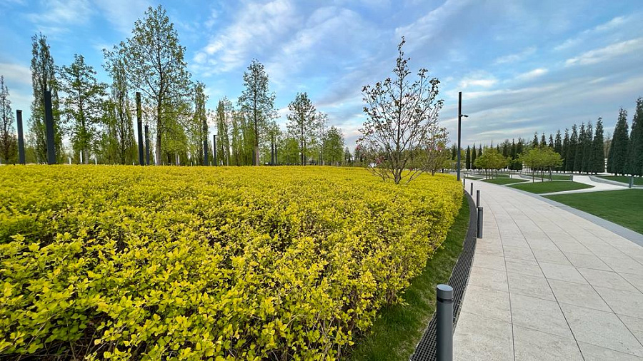 В Краснодаре и крае в середине недели ожидаются «температурные качели», местами пройдут дожди